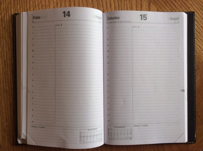 Page layout of the ABP1